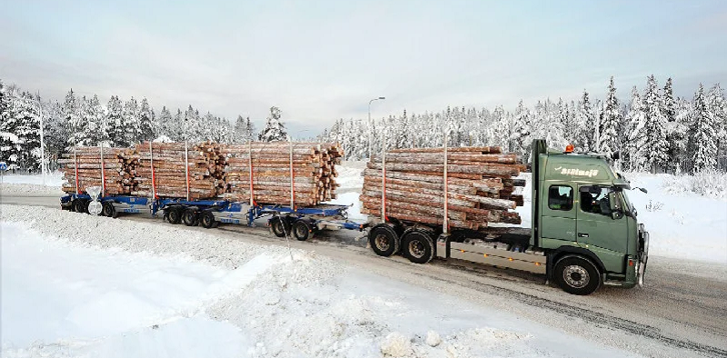 Элементы автопоезда для перевозки лесоматериалов